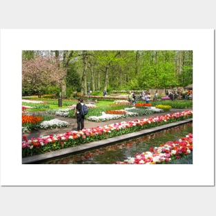 Keukenhof Tulip Festival, Holland Posters and Art